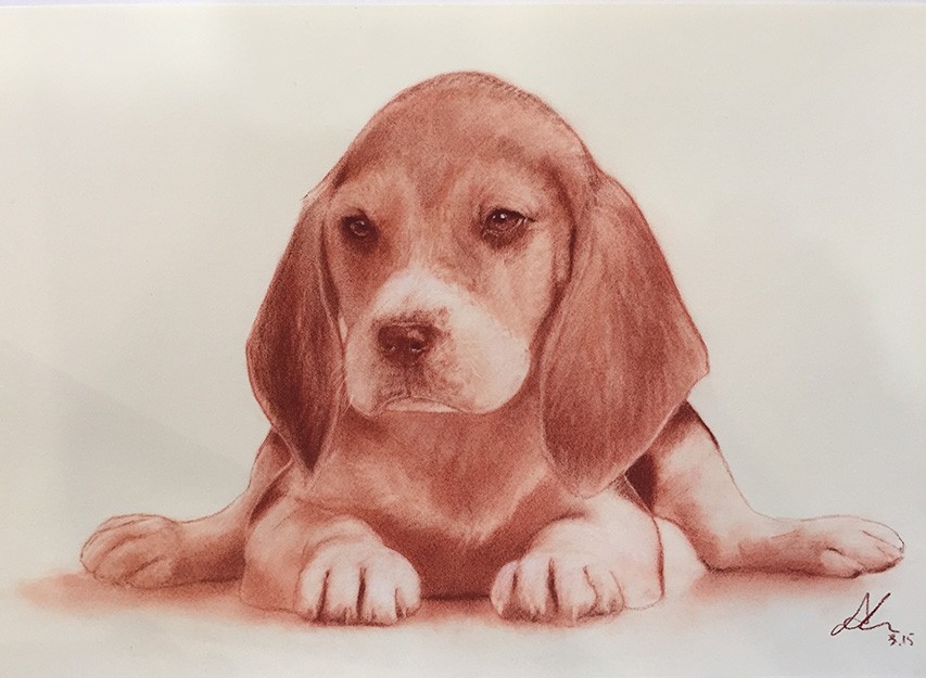 dipingiatore-andrea-ventura-beagle