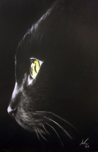 dipingiatore-andrea-ventura-gatto-nero