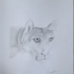 Profilbild von Luca Matla